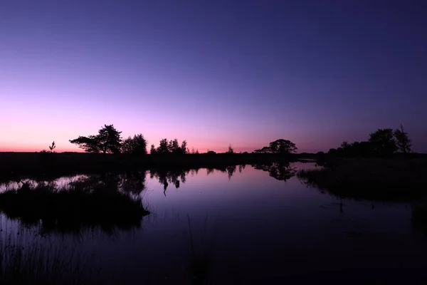 Hollanda Dwingelderveld Skoç Çamlarıyla Turba Havuzu — Stok fotoğraf