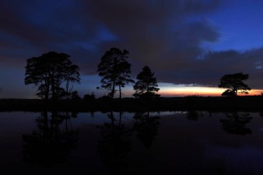 Hollanda, Dwingelderveld 'den yıldızlı gökyüzü ile gece çekimi