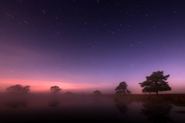 Night shot of Dwingelderveld with peat pool and Scots pine, the Netherland