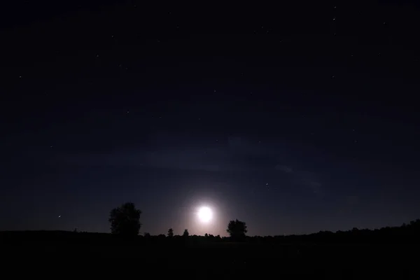 Heathland Landscape Dwingelderveld Night Netherland — 스톡 사진