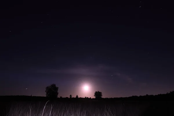 Night Shot Dwingelderveld Starry Sky Moon Netherland — Foto de Stock