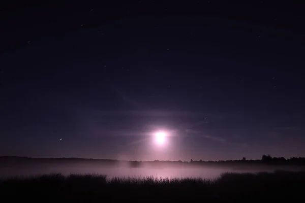 Foto Nocturna Dwingelderveld Con Una Piscina Turba Bajo Cielo Estrellado — Foto de Stock