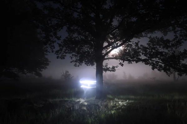 Night Shot Dwingelderveld Oak Netherland — Zdjęcie stockowe