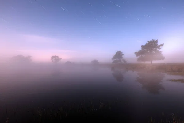 Peat Pond Dwingelderveld Night Netherland — Photo