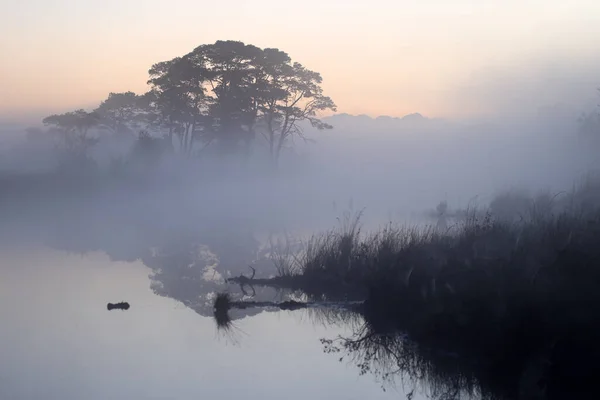 Peat Pond Morning Mist Dwingelderveld Netherland — Zdjęcie stockowe