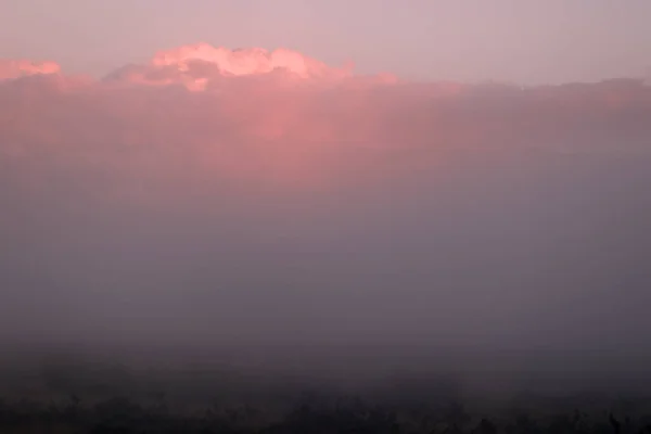 Ροζ Πορτοκαλί Πρωί Σύννεφα Πάνω Από Dwingelderveld Ολλανδία — Φωτογραφία Αρχείου