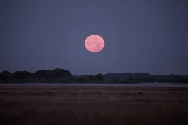 Dwingelderveld Netherlands Lands Серпня 2022 Подвійне Зображення Місяця Над Вересовищами — стокове фото