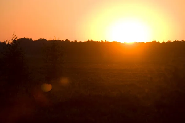 Nascer Sol Sobre Dwingelderveld Países Baixos — Fotografia de Stock