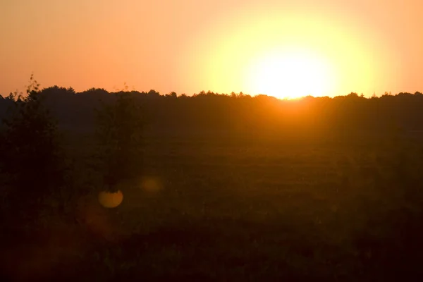 Nascer Sol Sobre Dwingelderveld Países Baixos — Fotografia de Stock