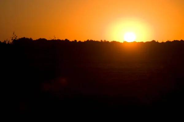 Nascer Sol Sobre Dwingelderveld Países Baixos — Fotografia de Stock