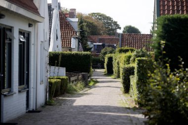 Schiermonnikoog, Hollanda 13 Eylül 2022