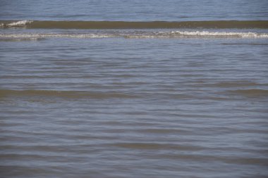 Schiermonnikoog, Hollanda 'daki Kuzey Denizi sahillerinde dalgalar