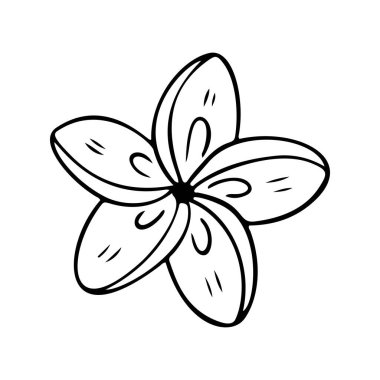 Plumeria çiçek özeti. Beyaz arka planda izole edilmiş Frangipani çizgisi sanat vektörü çizimi. Plumeria siluet simgesi, çiçek karalama ve basit element.