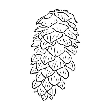 Çam kozalağı vektör çizimi. Çiçekli el çizimi Noel ağacı, sedir, köknar. Noel doğrusal elementi. Beyaz arka planda izole edilmiş Xmas zarif silueti. Kozalaklı siluet, çizgi sanatı