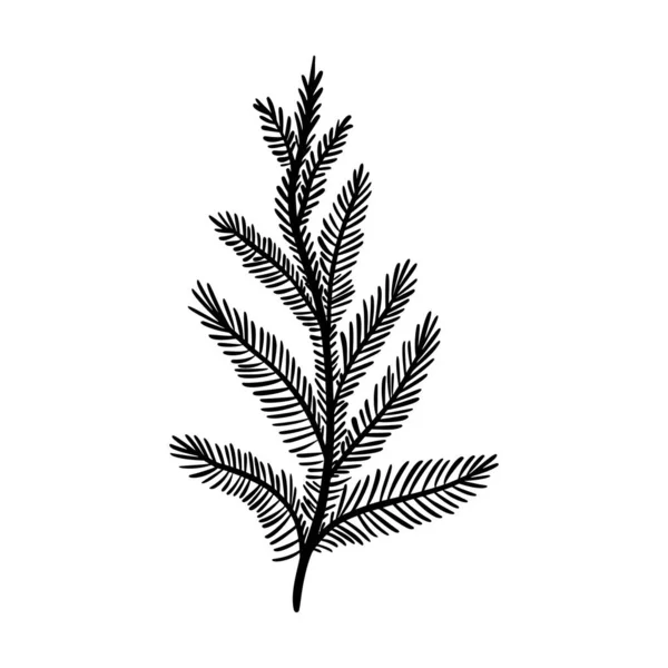 Fir branch vector illustration. Floral hand drawn pine. Christmas linear element in modern style. Elegant spruce twig silhouette isolated on white background. Cedar branch line art — Stock Vector