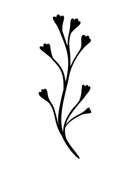 Ilustración del vector de hojas de eucalipto. Rama dibujada a mano floral, elemento lineal. Elegantes hojas boho aisladas sobre fondo blanco. Silueta de follaje eucalipto, línea de arte. Doodle icono de hierba — Vector de stock