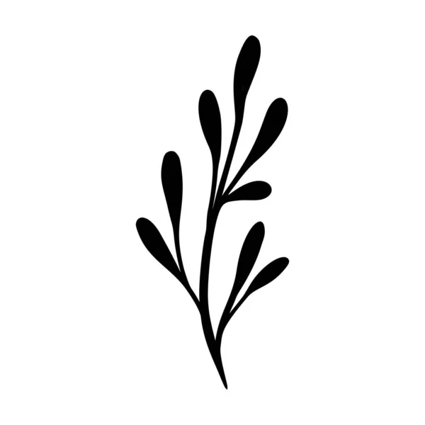 Mistletoe vector illustration. Floral hand drawn ilex. Christmas linear element in modern style. Elegant silhouette isolated on white background. Mistletoe line art for invitation,card, poster. — Stock Vector