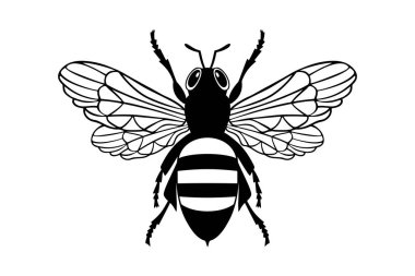 Bal arısı simgesi, bal arısı silueti beyaz arkaplanda