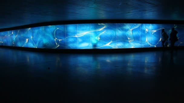Siluetas frente a una pared de vidrio iluminado azul — Vídeos de Stock