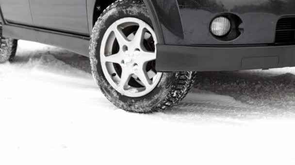 Gomme da neve — Video Stock