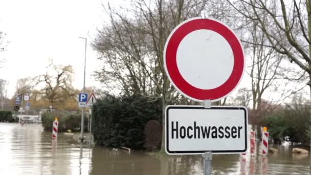 River Flood - Hochwasser — Stock Video