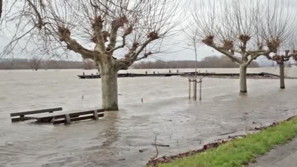 Vloed aan rivier de Rijn, Duitsland — Stockvideo