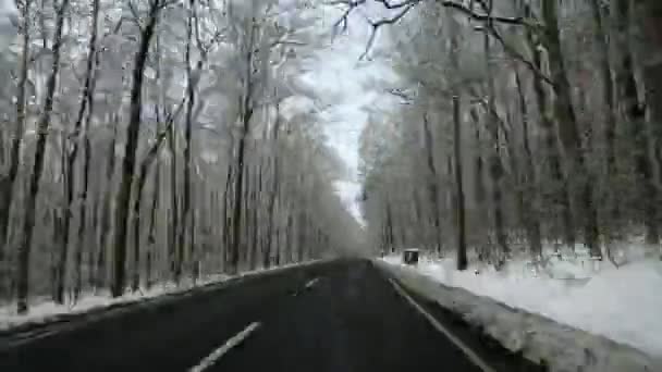 Timelapse op een winter weg — Stockvideo