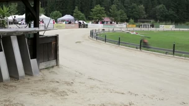 Greyhound pista de corrida — Vídeo de Stock