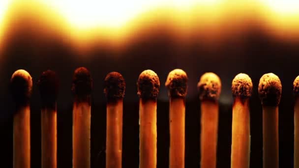 Chain reaction - lighting a row of matchsticks — Stock Video
