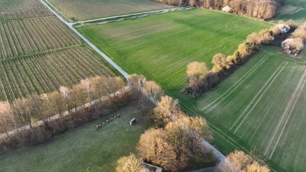 Vista Sobre Rheingau Atardecer Campos Agrícolas Viñedos — Vídeo de stock