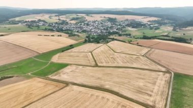 Harvesting a wheat field during a very dry summer season - aerial view