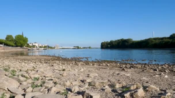 Rhine River Wiesbaden Biebrich Germany Visible Rocks Sandbars Due Extraordinary — Stockvideo
