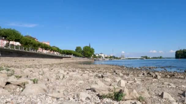 Rhine River Wiesbaden Biebrich Germany Visible Rocks Sandbars Due Extraordinary — Video Stock