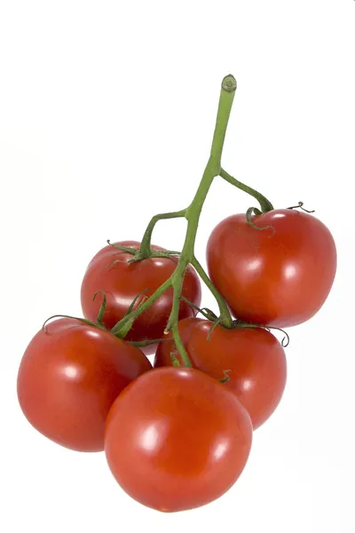Tomates rouges sur fond blanc. — Photo