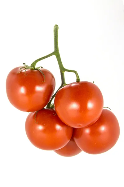 Beyaz arkaplanda kırmızı domatesler.