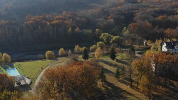Όμορφο Φθινοπωρινό Δάσος Από Θέα Ενός Πουλιού Πυροβολισμός Από Τηλεκατευθυνόμενο — Αρχείο Βίντεο
