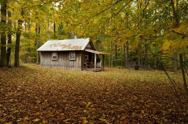 Fall Colors Cottage In Woods — Stock Photo, Image