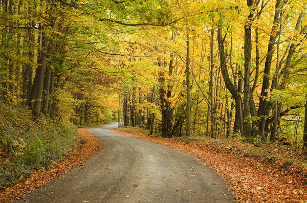 Herbst Farben saisonale Straße — Stockfoto