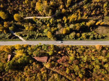 Sonbahar günündeki dağ sırasındaki ağaçlar ve ormanlarda - Sırbistan 'daki Tresibaba Knjazevac Dağı - seyahat yolculuğu ve tatil konsepti otomobili