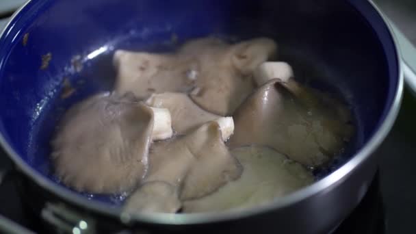 Champignon Huître Pleurotus Ostreatus Fermer Cuisson Dans Poêle Ralenti — Video