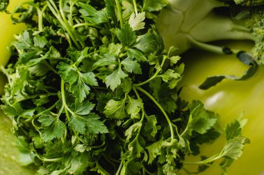 Maydanoz yeşili sebze, baharat sağlıklı taze organik yiyecekler.