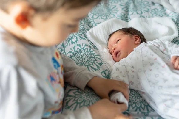 침대에 신생아와 동생을 돌보는 관계를 가족간 대개념을 키우는 — 스톡 사진