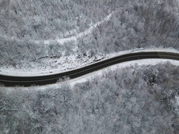 High Angle Aerial View Drone Image Curved Road Trough Trees — Foto de Stock