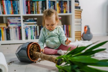 Kafkasyalı bir kız bebek kötü davranışlarla oyun oynuyor ve yaramazlık yapıyor kağıt havlu yırtıyor ve saksı yerde eziliyor yaramaz çocuk çocukluğunda ve yaramazlık yaparak büyüyor.