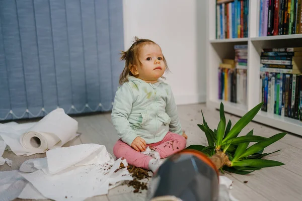 One Caucasian Baby Girl Making Mess Playing Mischief Bad Behavior — Stock Photo, Image