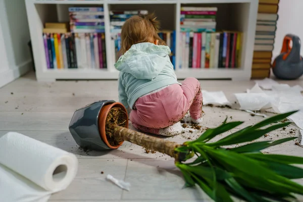 Kafkasyalı bir kız bebek yaramazlık yapıyor kötü davranışlarla oyun oynuyor kağıt havlu yırtıyor ve saksı yere çarpıyor yaramaz bir çocuk çocukluğunda ve yaramazlık yaparak büyüyor.