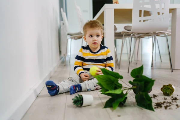 Menino Caucasiano Fazendo Bagunça Casa Brincando Travessura Com Mau Comportamento — Fotografia de Stock