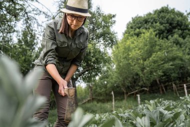Tarım sektöründe çalışan beyaz kadın çiftçinin ön görüşü elinde çapayla yabani otları temizleyip toprağı ve tepecikleri şekillendirdiği yönünde. Gerçek insanlar bahçecilik ve kendi kendine yetme kavramı.