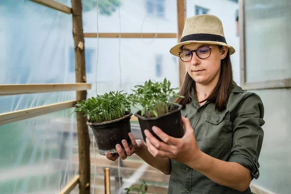 肺移植による首の傷を負った成人の白人女性植物の世話をする温室で積極的な生活をしている有機農場持続可能な生活コンセプト現実の人々はスペースをコピー — ストック写真