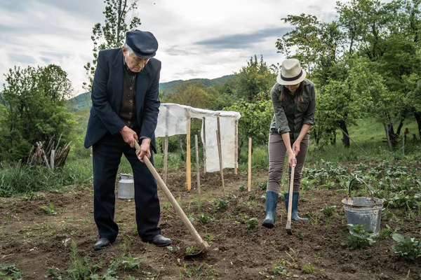 Kaukasische Vrouw Vrouwelijke Oudere Man Mannelijke Boer Landbouw Ingediend Bedrijf — Stockfoto